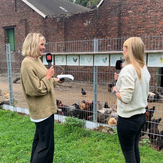 alpakamomente_alpakas_gut-gatzweiler_radio-essen-podcast-essen-im-ohr