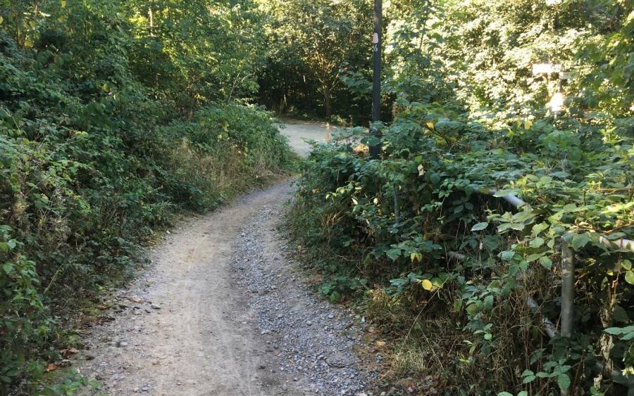 Kesselbachtal in Essen