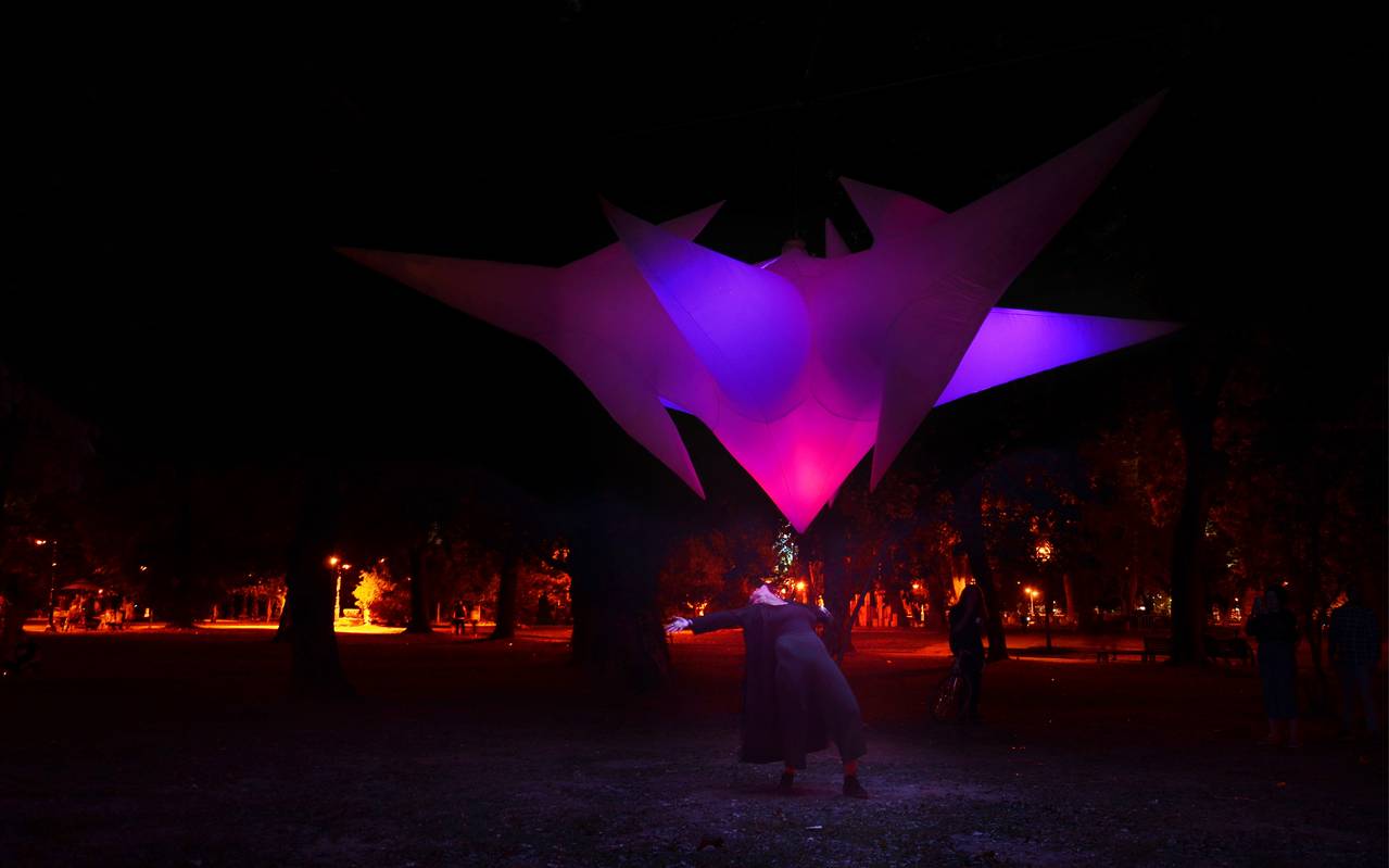 Essen Light Festival - Touch the Star