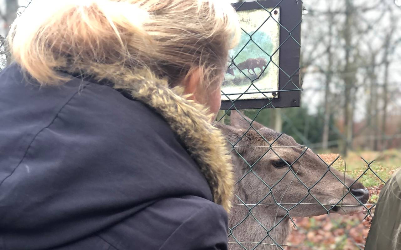 Begegnungen gegen Einsamkeit im Heissiwald Essen