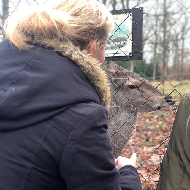 Begegnungen gegen Einsamkeit im Heissiwald Essen