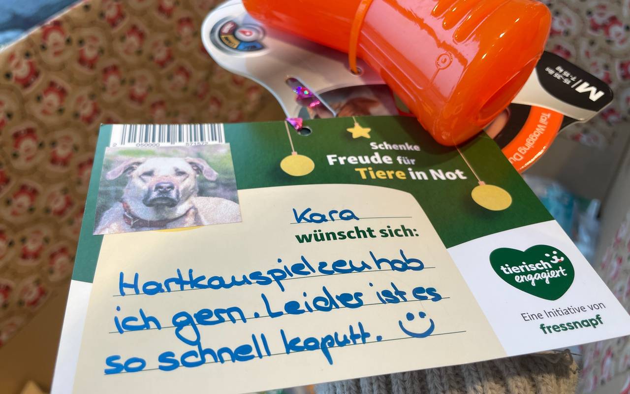 Beispiel-Karte an den Weihnachtsbäumen für Tiere in Essen
