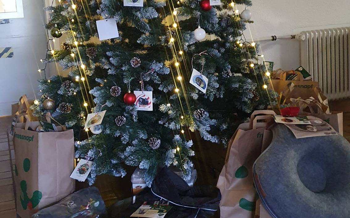 Weihnachtsbaum für Tiere in Essen