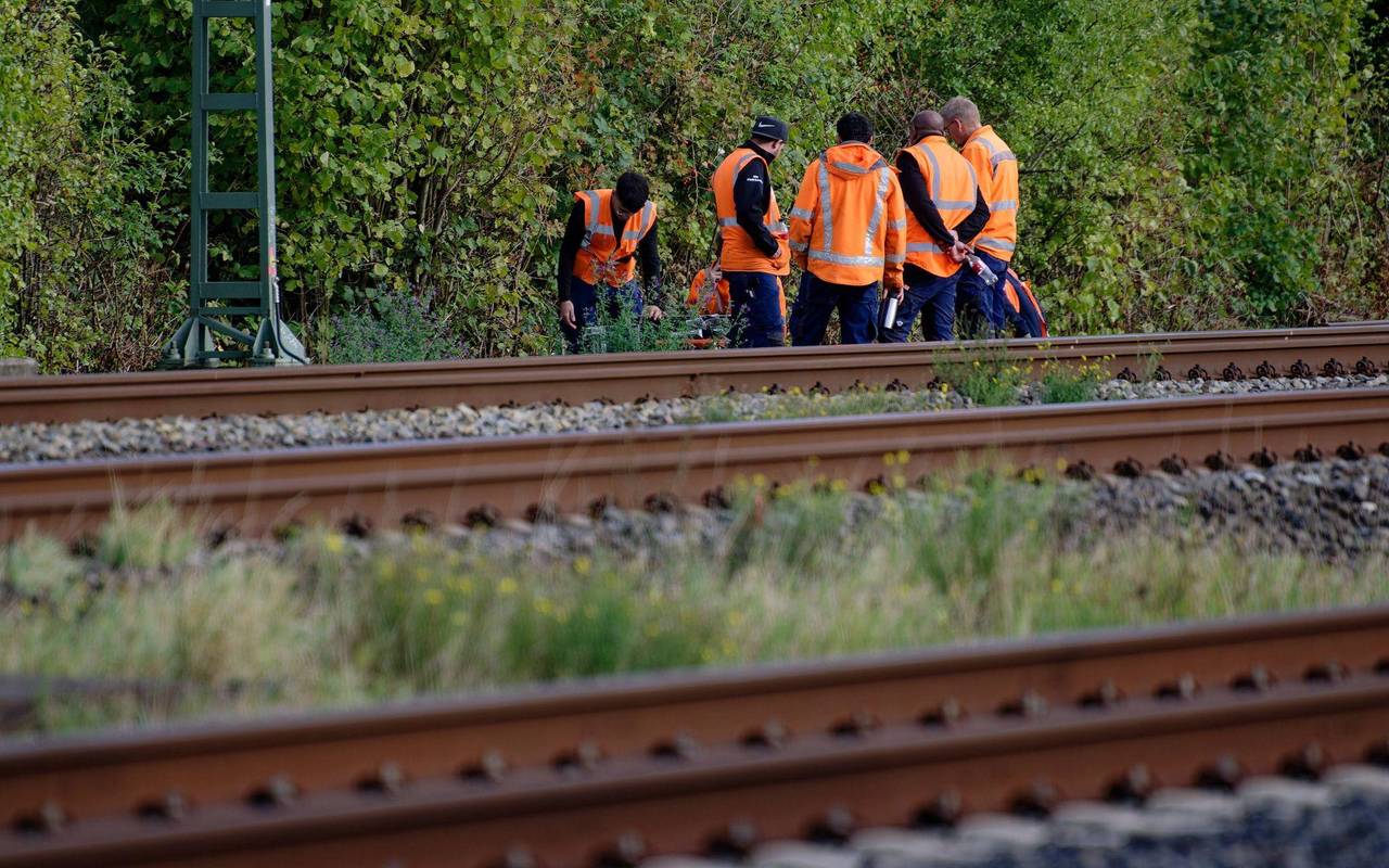 Durchtrennte Kabel beeinträchtigen Zugverkehr Köln - Düsseldorf