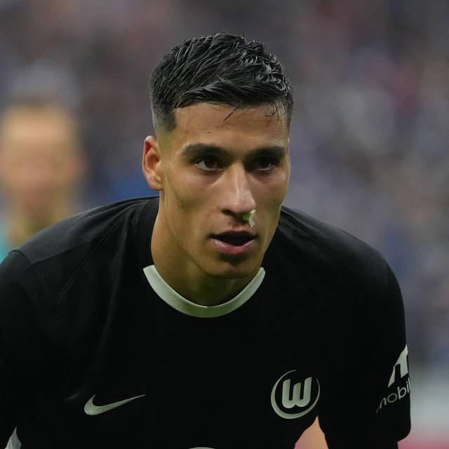 Hamburger SV - VfL Wolfsburg