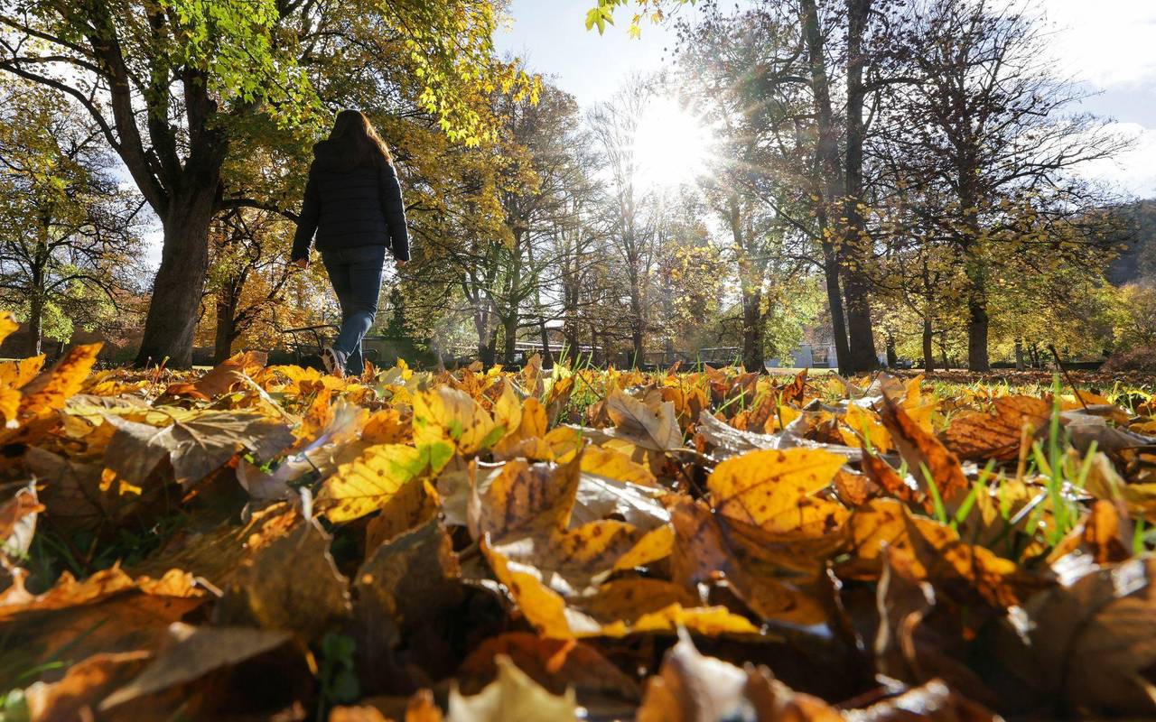 Wetter in Baden-Württemberg