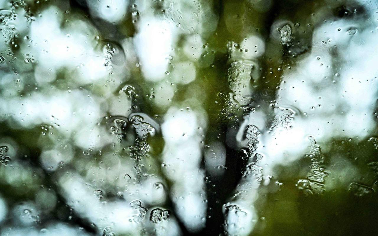 Regen in Niedersachsen