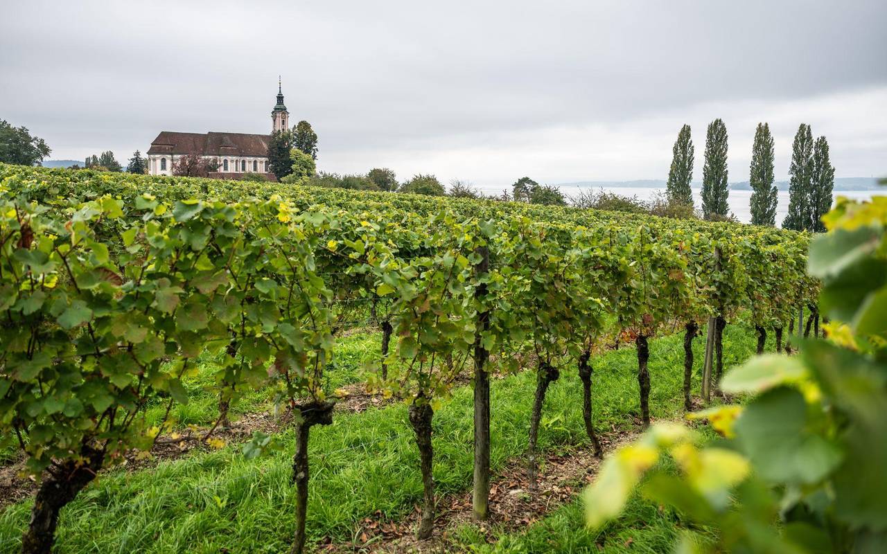 Wetter in Baden-Württemberg