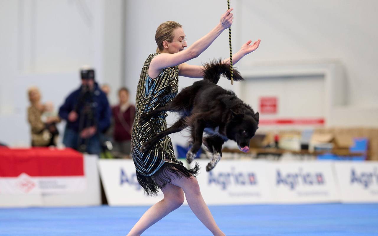 Meisterschaft im Dog Dancing auf Messe «Hund & Pferd»