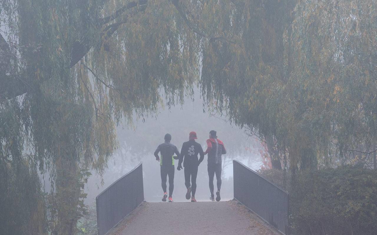 Drei Läufer joggen bei nebligem Wetter