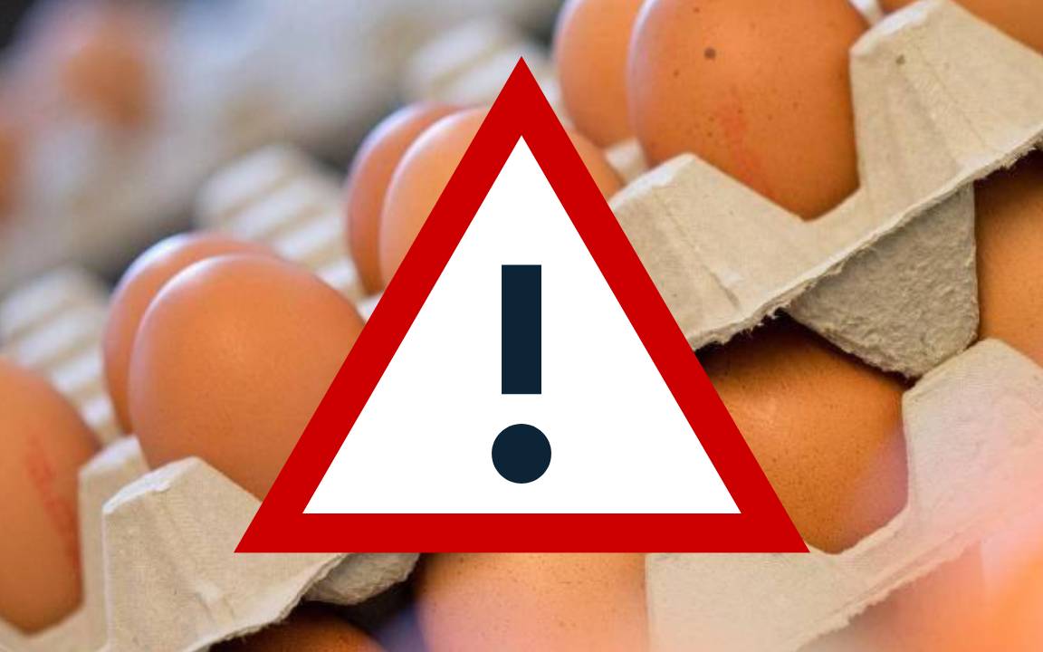 Eier bei Real und Hit in Essen zurückgerufen