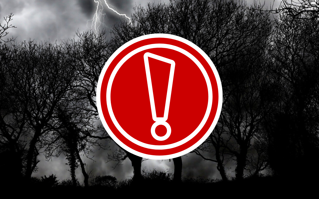 Sturm-Nacht in Essen - dunkle Bäume im Wind mit Ausrufezeichen.