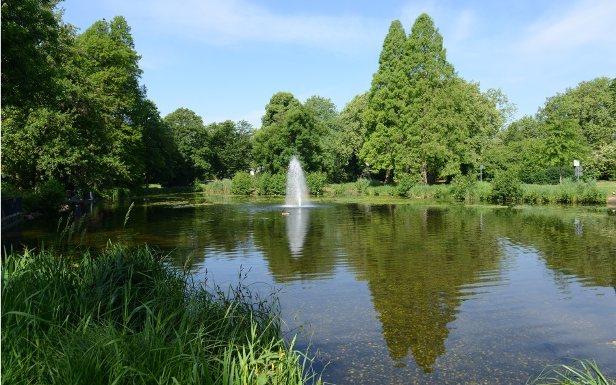 Kaiser-Wilhelm-Park in Essen-Altenessen