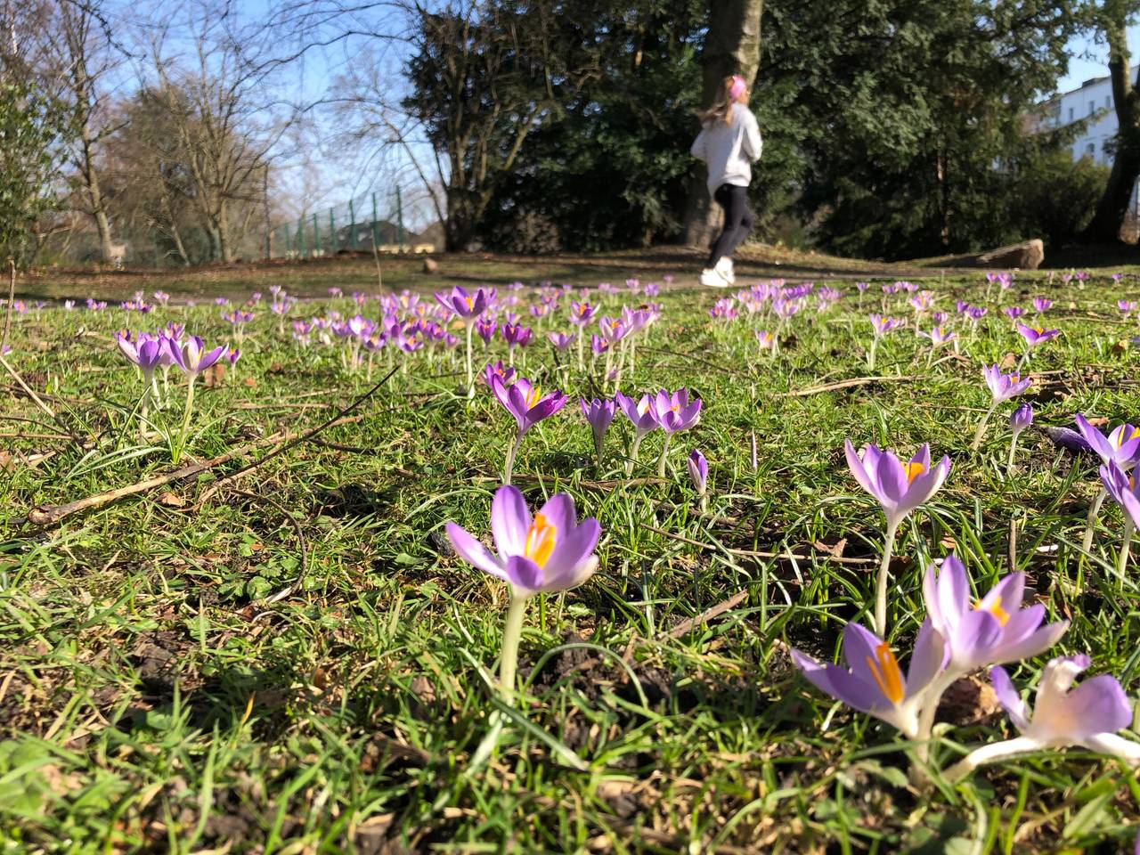 Frühlingswetter in Essen: So genießen Essener die Sonne im ...