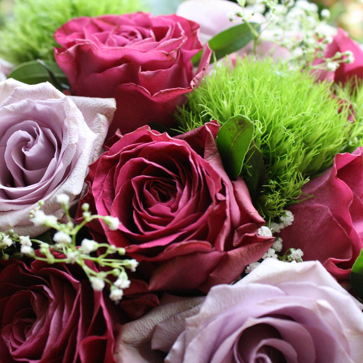 Partyraum Mieten Essen Partyraum Essen 2020 03 15