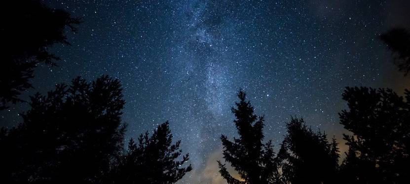Milchstraße Sterne Wald (Social Media erlaubt)