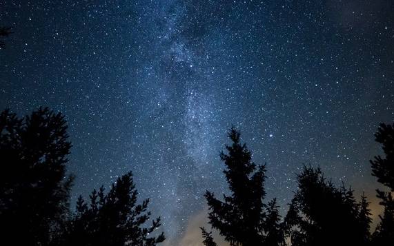 Milchstraße Sterne Wald (Social Media erlaubt)