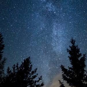 Milchstraße Sterne Wald (Social Media erlaubt)