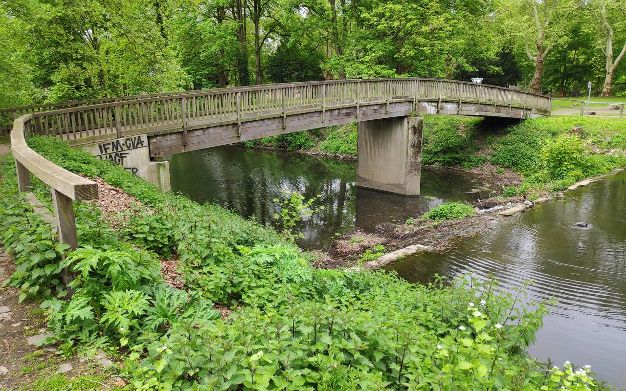 Eine alte vermooste Holzbrücke führt über das Wasser zur Brehminsel ins Grüne.