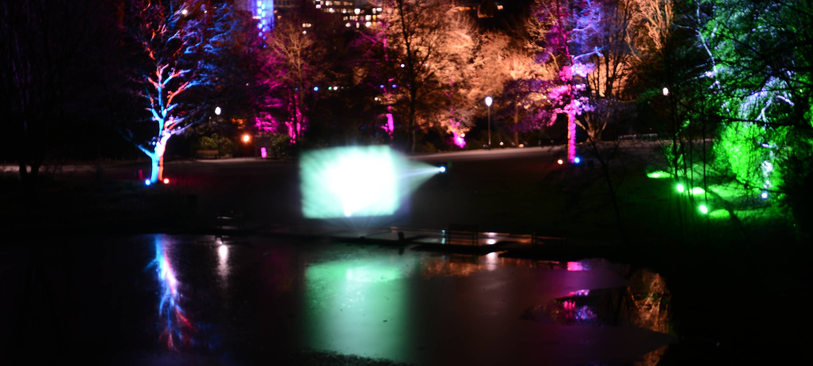 Bunte Lichtinstallationen beleuchten den Grugapark in Essen