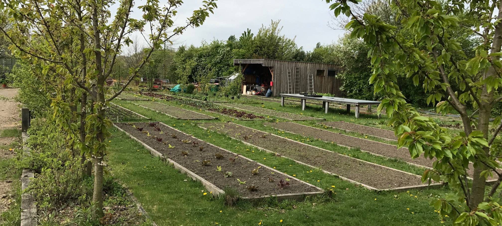 Kleingärtner machen sich Sorgen um ihre Grünflächen