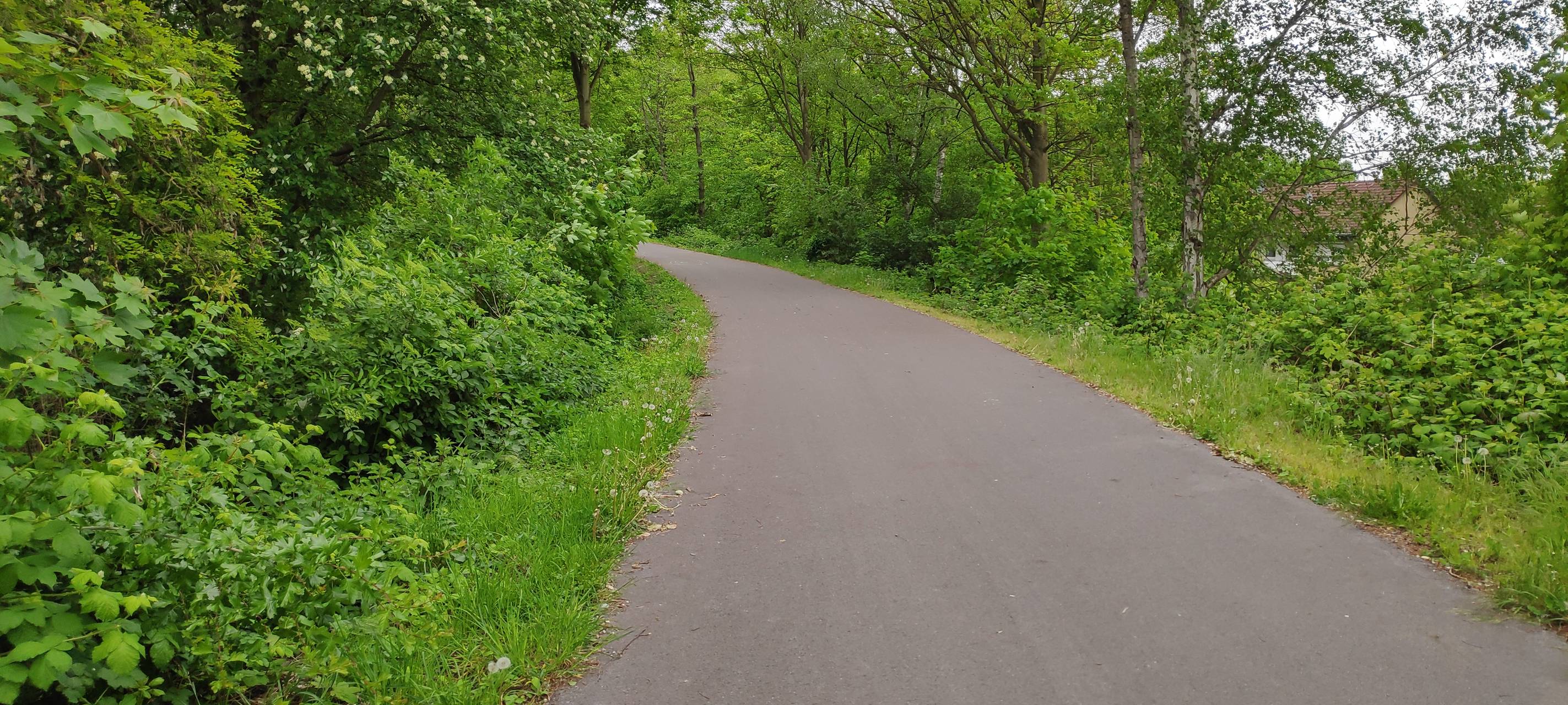 Beliebter Radweg in Essen wieder frei