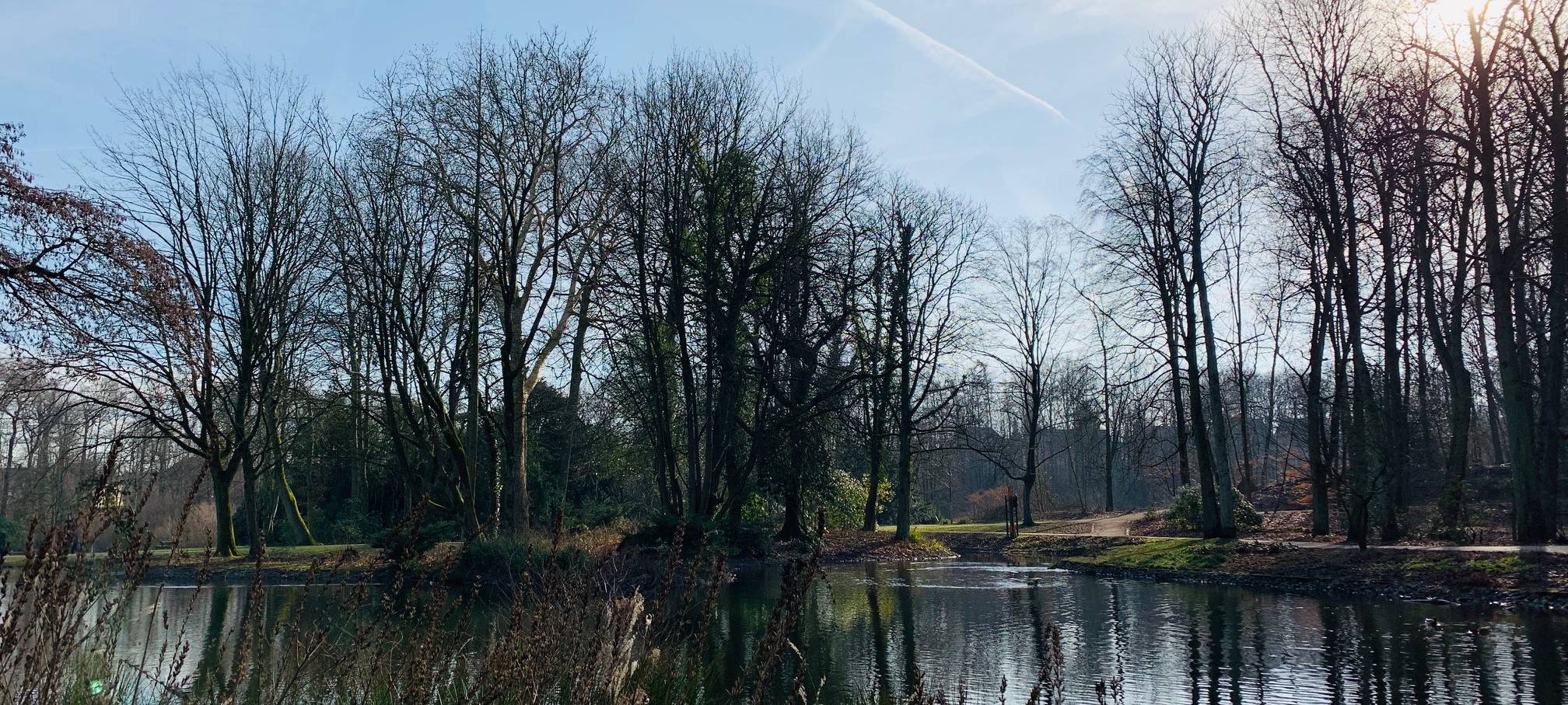 Ein See vor kahlen Bäumen im Schlosspark Borbeck in Essen