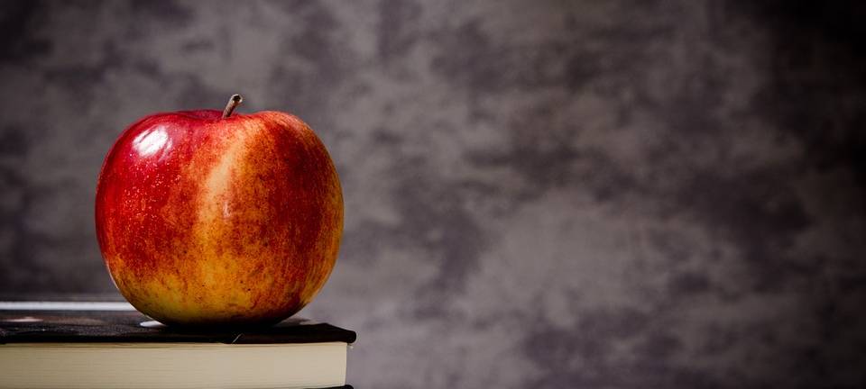 Wechselunterricht in Essen: Schulen verärgert - Ruhrbahn passt Fahrplan an