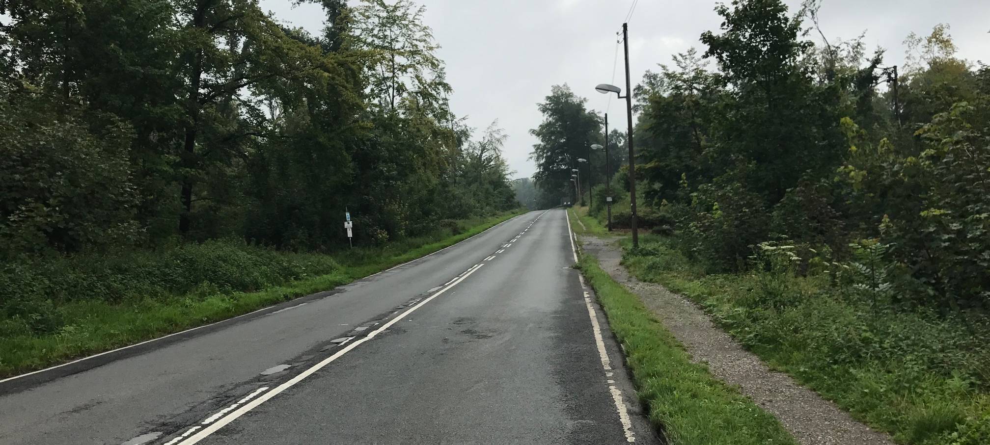 Eine leere Straße am Schellenberger Waldrand bei bewölktem Himmel