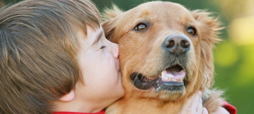 Rat in Essen will Käufer von Tierheim-Hunden entlasten