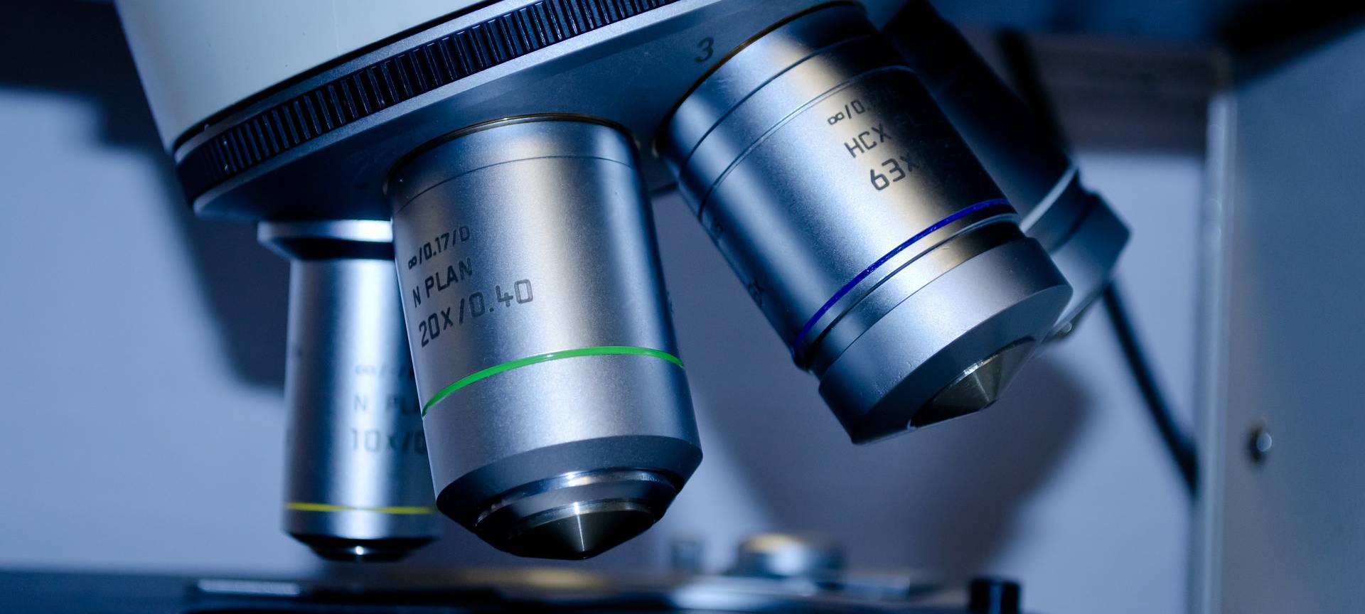 Forscher aus Essen und Düsseldorf sagen Krebs den Kampf an