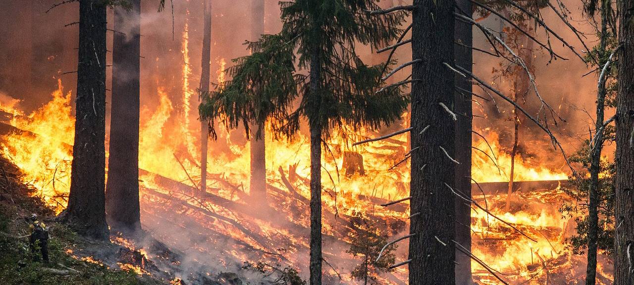 Waldbrände im Urlaub: Reiserücktritt, Abbruch und Versicherung - Was Ihr beachten müsst