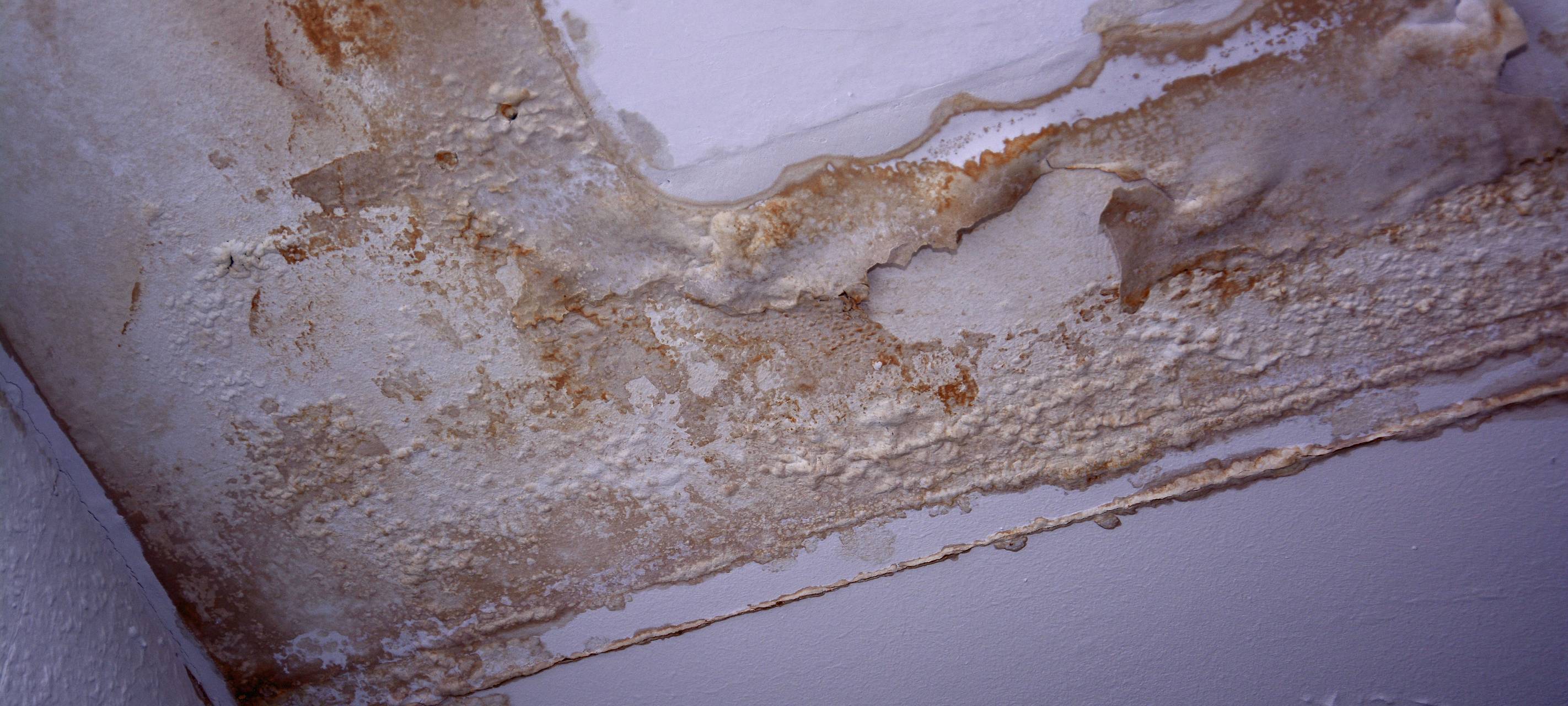 Wasserschaden in Essen an Schule