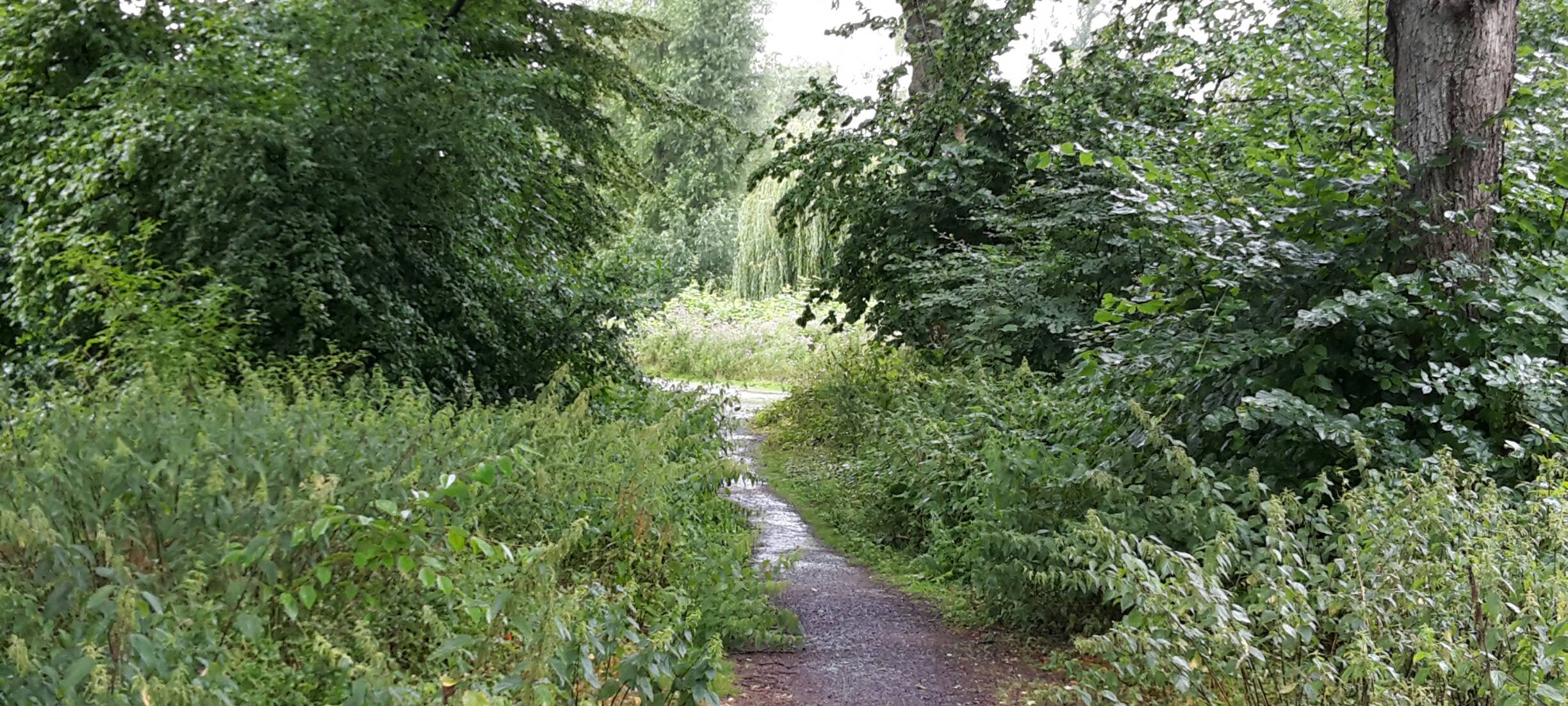 Wiesen in Essen sollen ökologischer werden