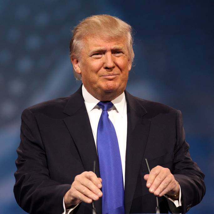 Freie Nutzung/Google