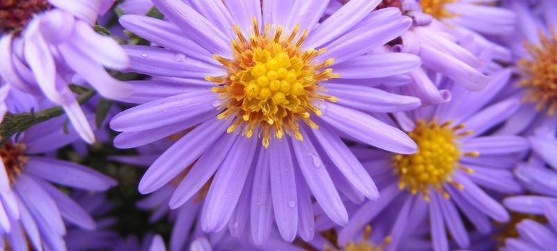 Essen: Nördliche Innenstadt wird bunter