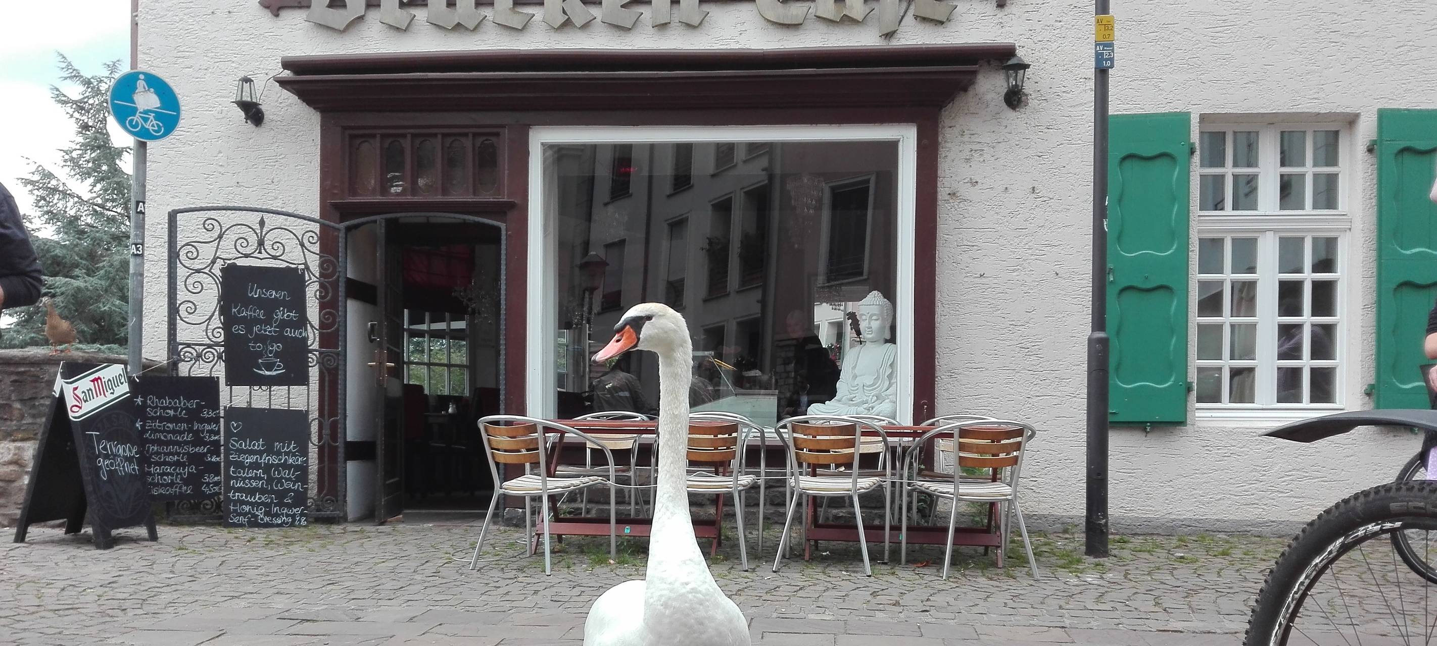 Essen: Wilderer oder Tierfreund? Polizei guckt genau hin