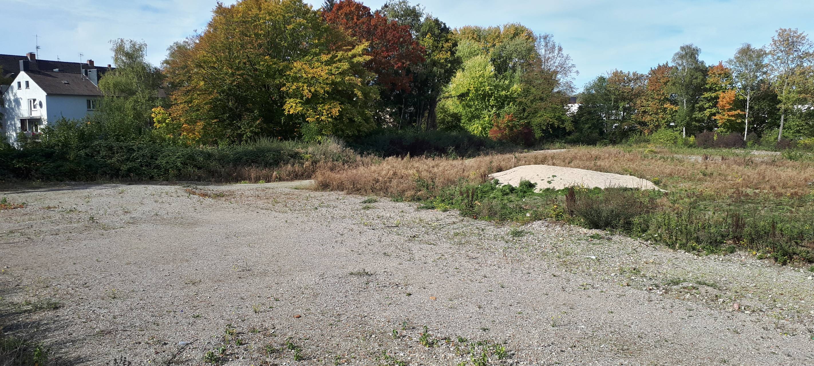 In Essen: Neues Leben auf alten Brachflächen