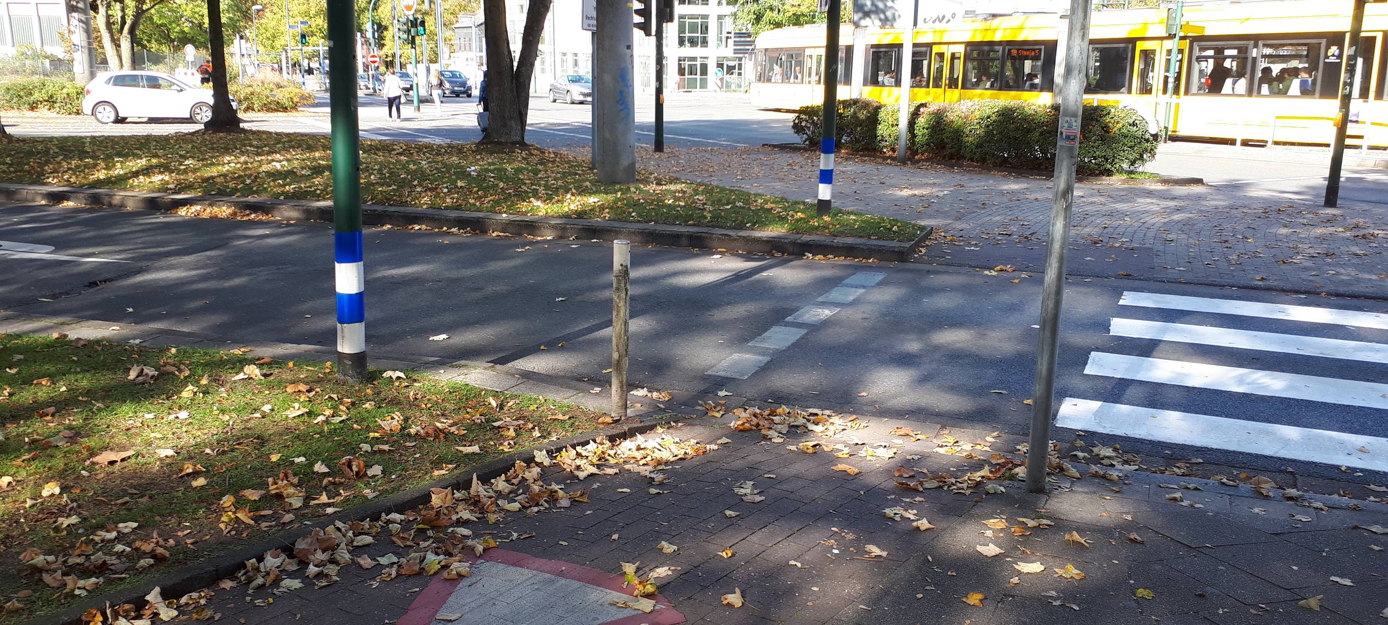 In Essen werden die Bäume an der Hollestraße noch nicht ausgegraben