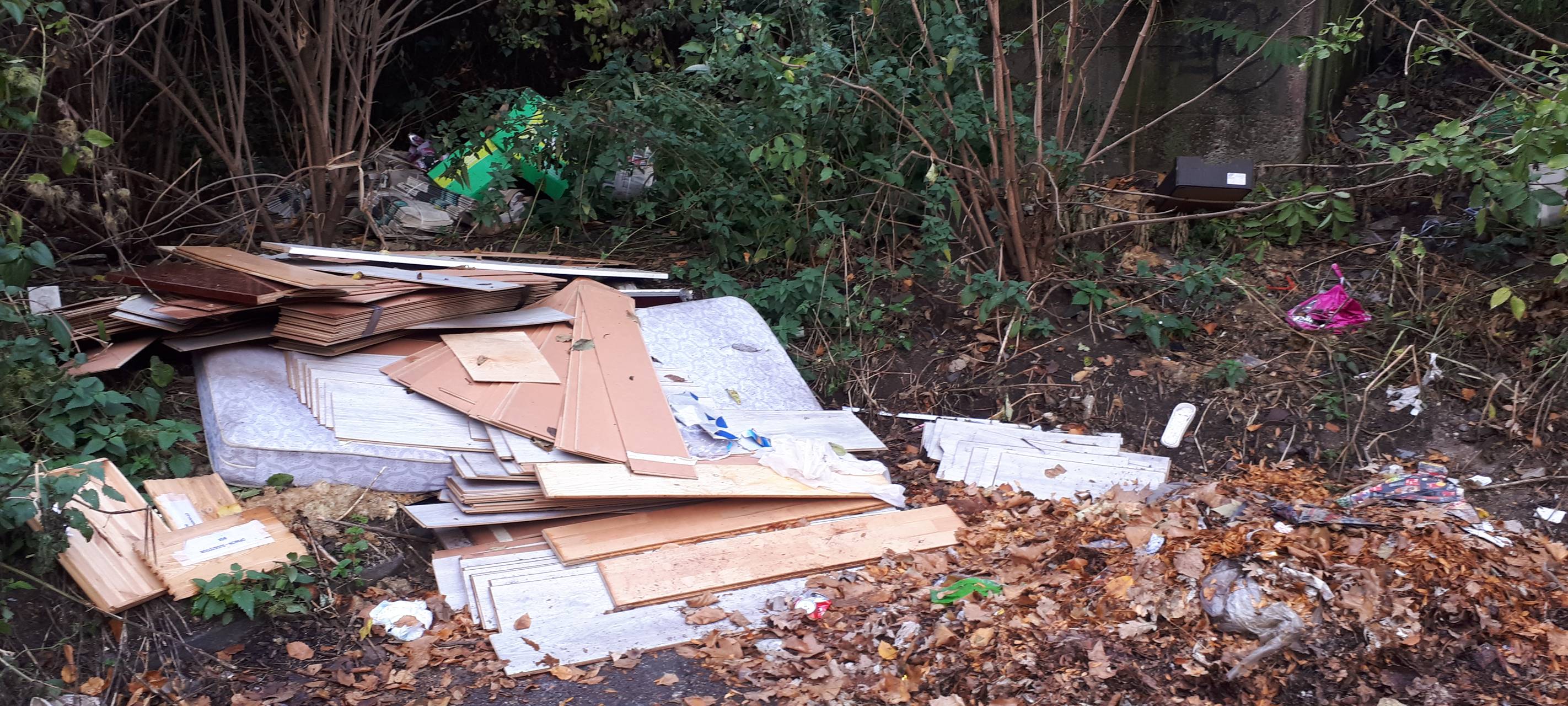 Essen: Über 200 Umweltsünder erwischt! Hunderte Bußgeldverfahren laufen