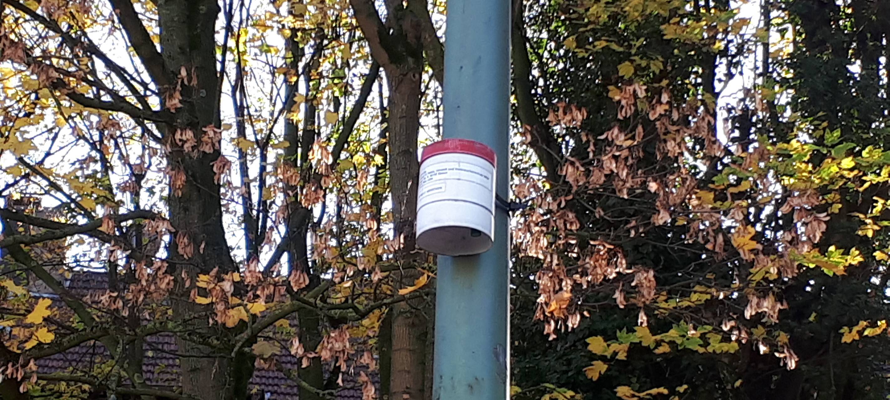 Luft in Essen: 20 Prozent weniger Schadstoffe