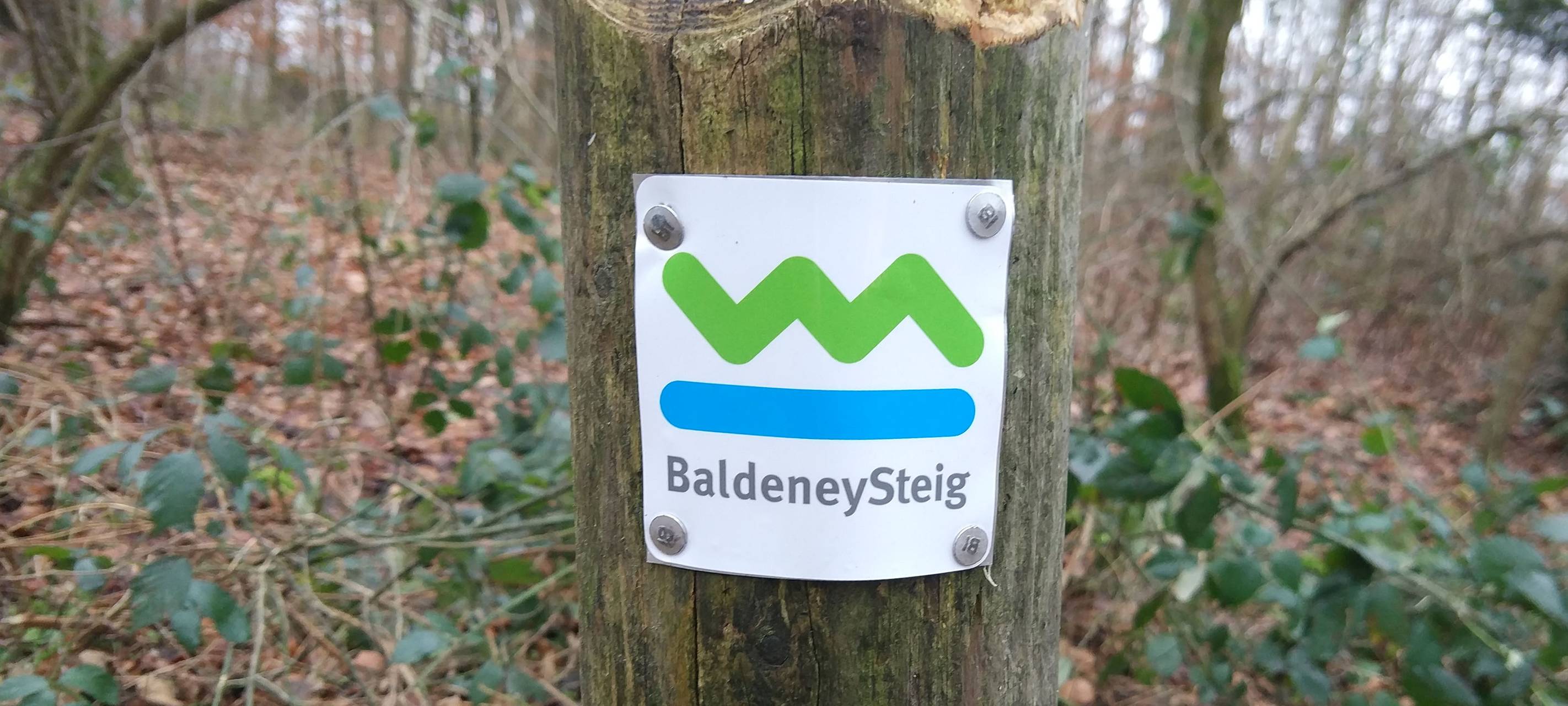 Baldeneysteig Essen: Wanderkarte wird neu gedruckt