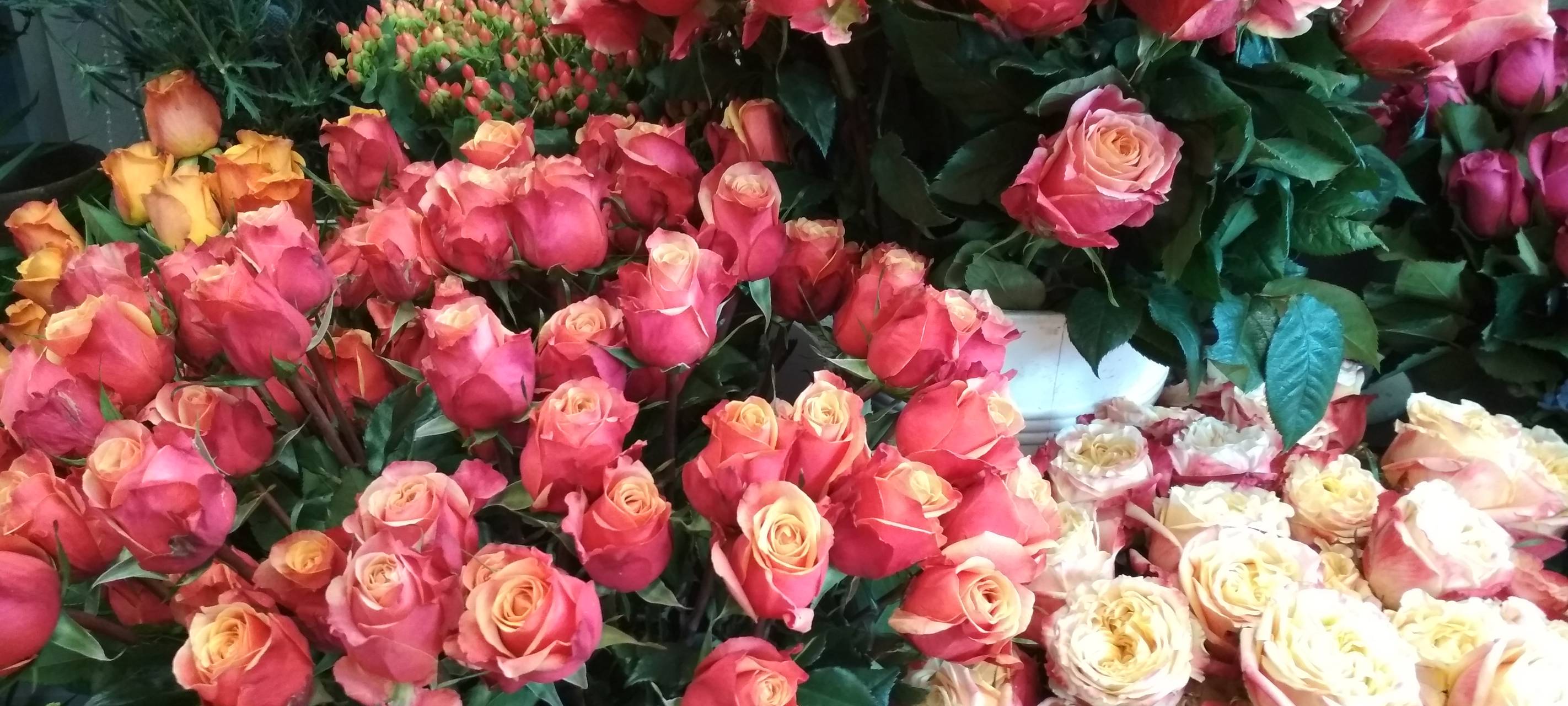 Essen: Blumenmarkt könnte Innenstadt beleben - Vorbild ist Köln