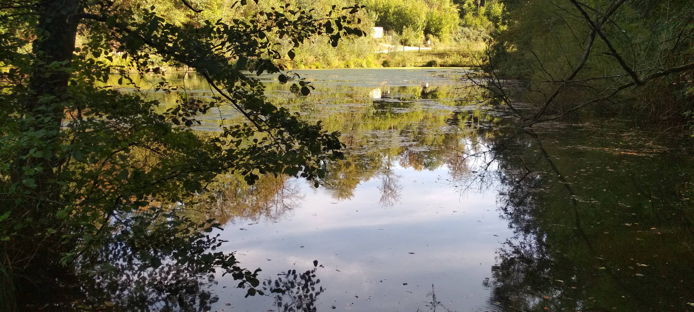 Umfrage in Essen - Kaum Verzicht zugunsten der Umwelt