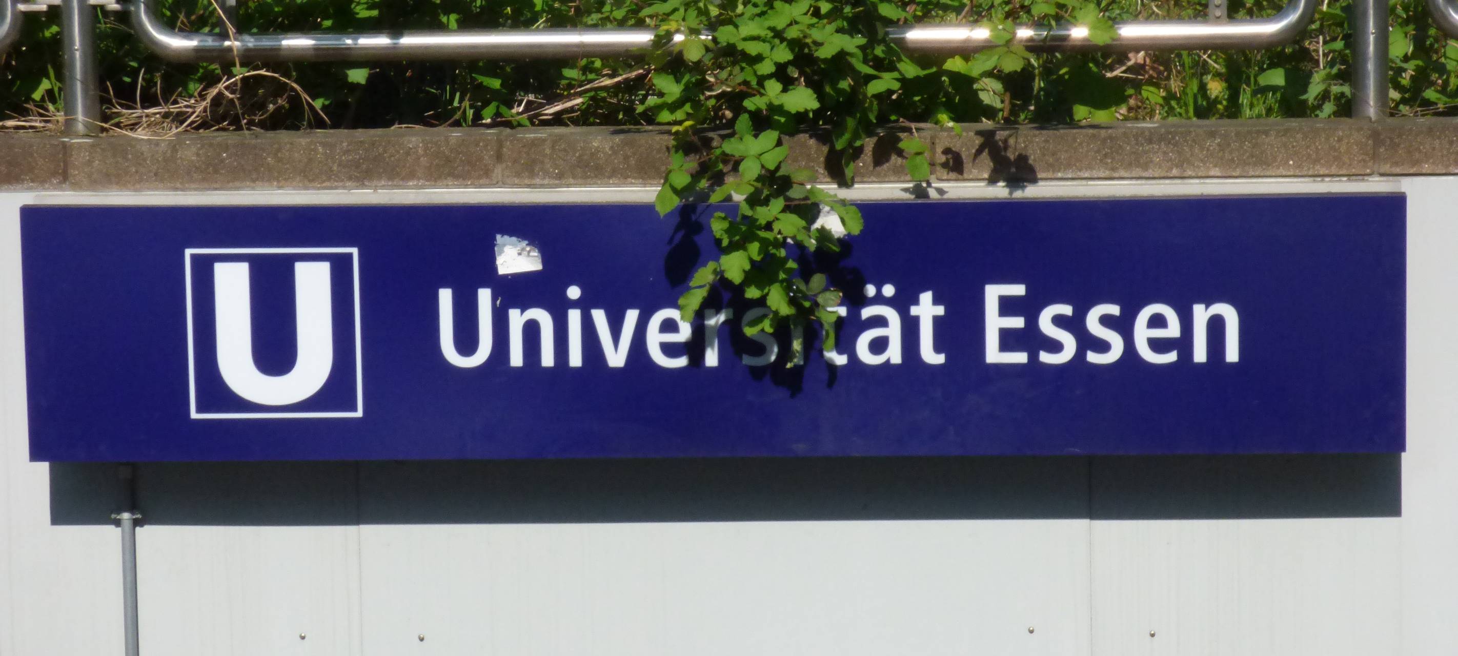 Mann in Essen zeigt Hitlergruß in Vorlesung an der Uni