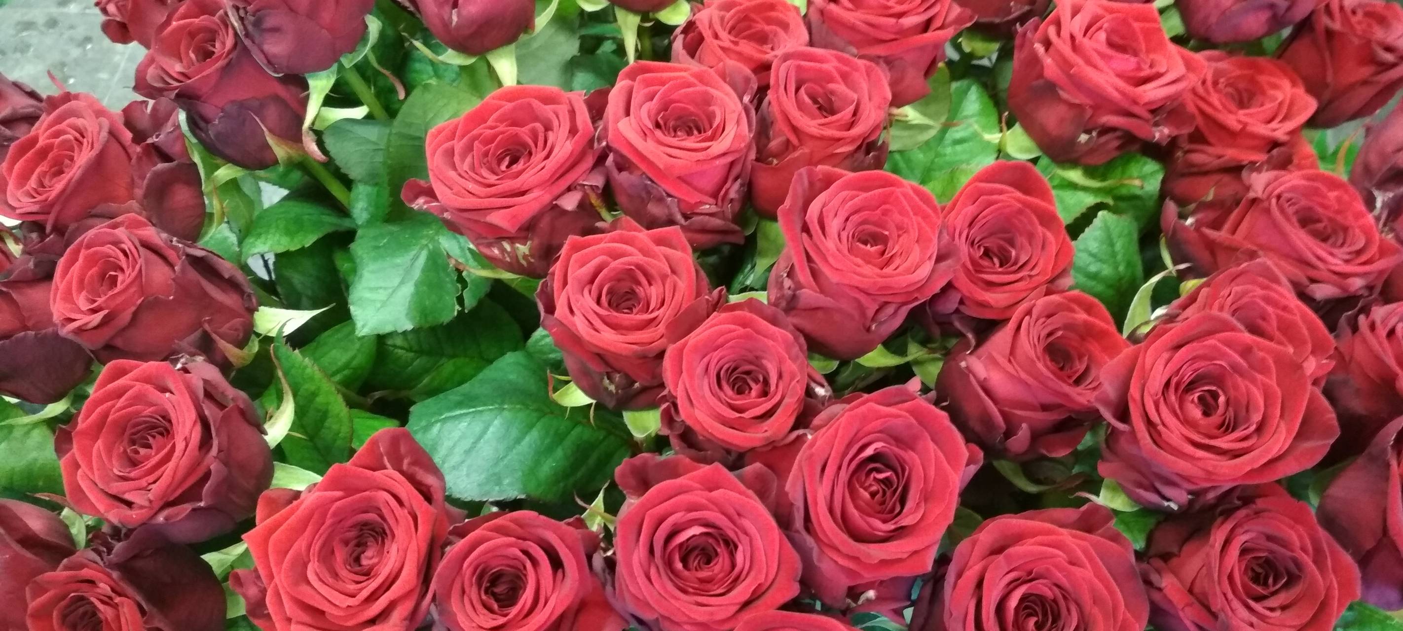 Radio Essen: Eure Grüße statt Blümchen zum Muttertag