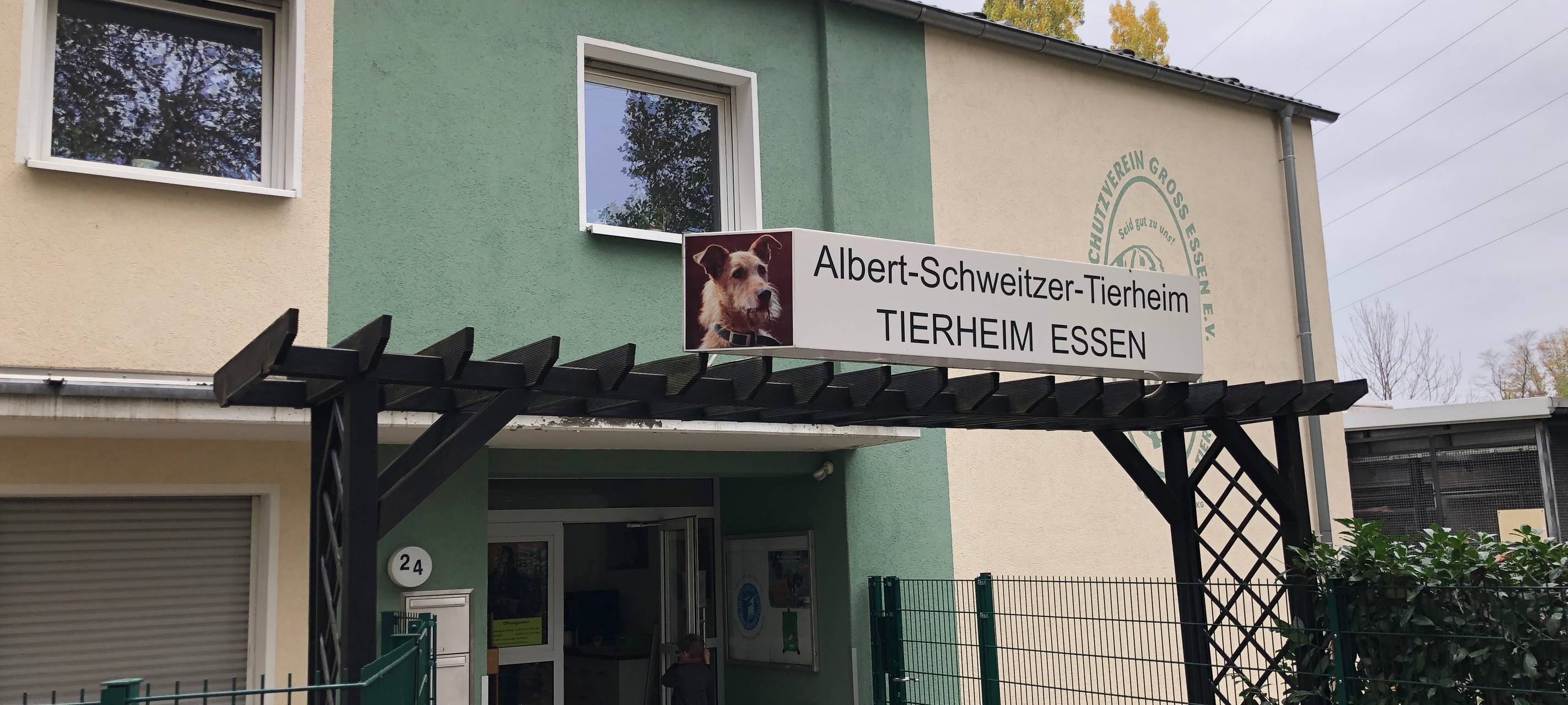 Tierheim in Essen überlastet - viele Abgabeanfragen für die Ferien