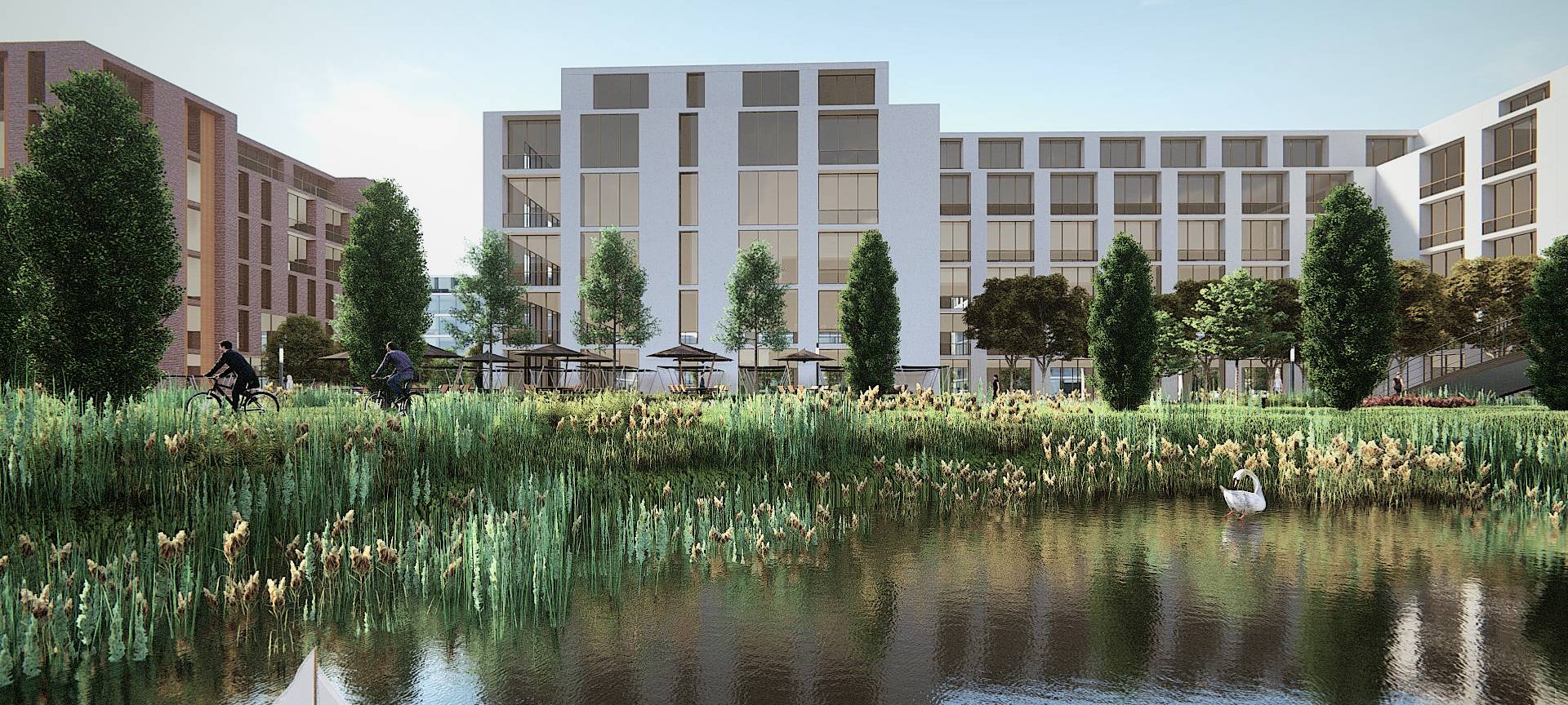 See und Wiese zwischen Häusern vom neuen Stadtteil Essen 51