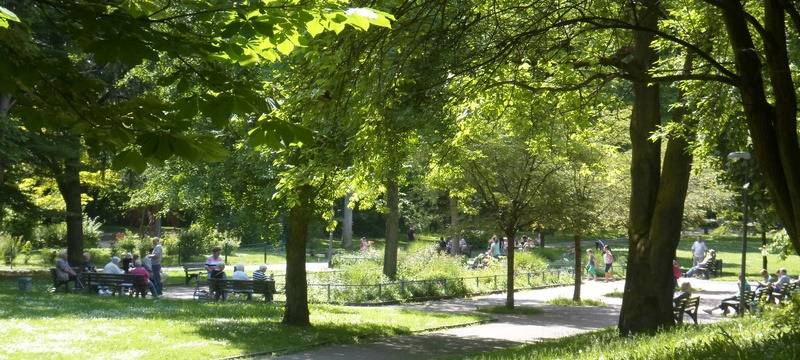 Der Gervinuspark in Frohnhausen im Sommer mit viel Wiese und grünen Bäumen und Menschen auf Parkbänken.