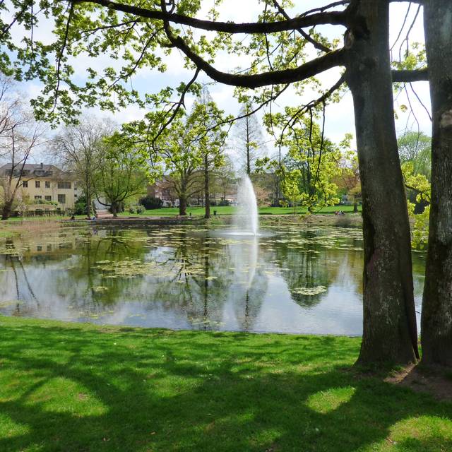 Der Stadtgarten im Essener Südviertel mit einem großen Teich und Fontäne.
